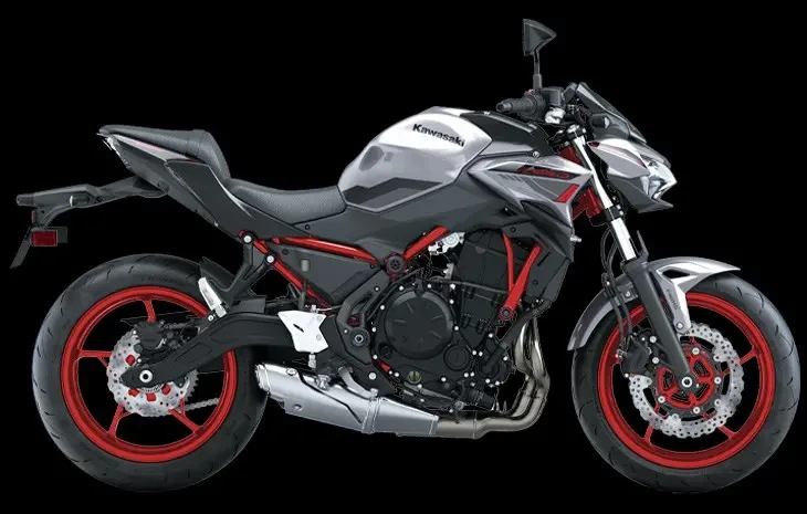 2023-Models Kawasaki Z650L-Silver-Grey