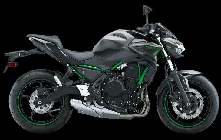 2023-Models Kawasaki Z650L-Black-Green